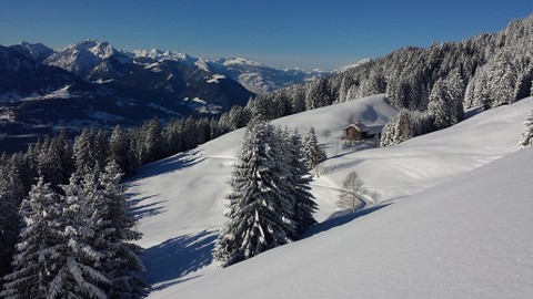 Ländliche Entwicklung in Vorarlberg